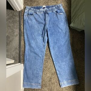 Lane Bryant Indigo Jogger with Drawstring